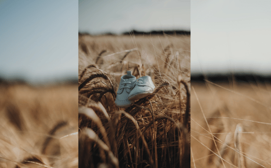 child's shoes in a field