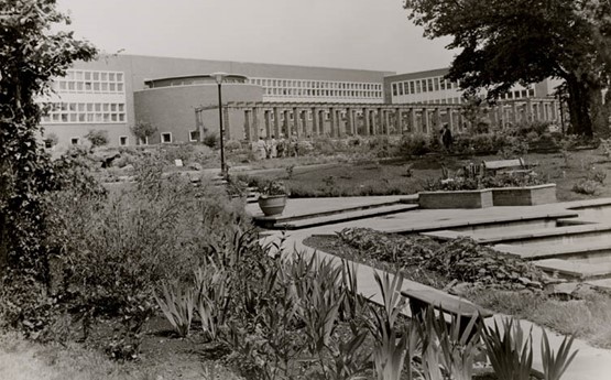 The Botanical Gardens at Swansea University in the 1960s