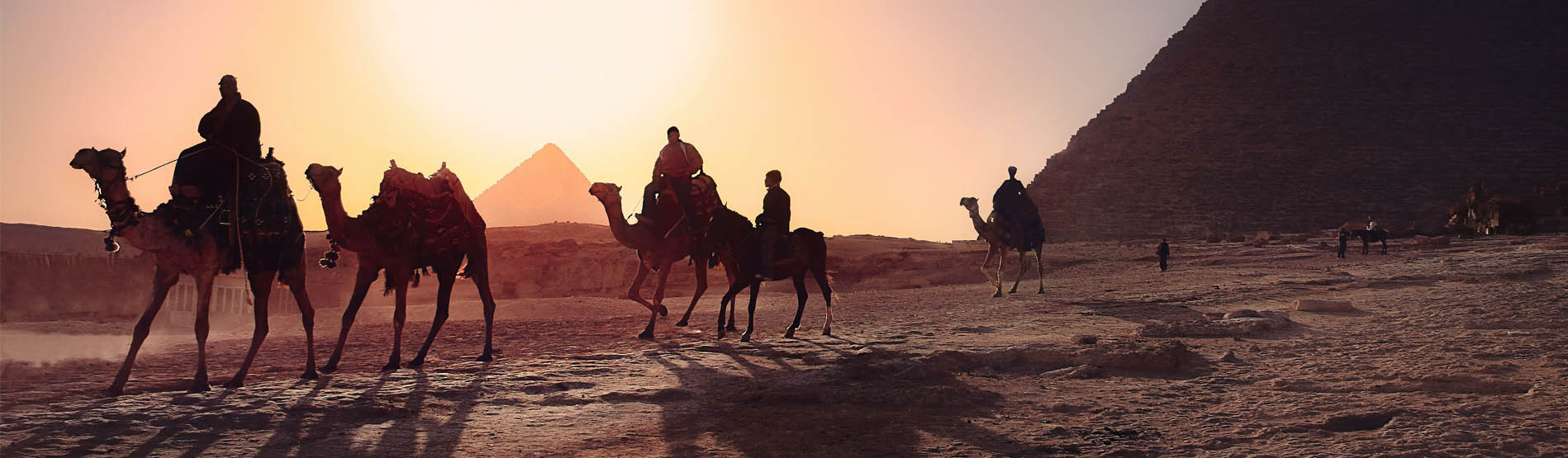 Image of camels walking in a desert with Egyptian pyramids in the background 