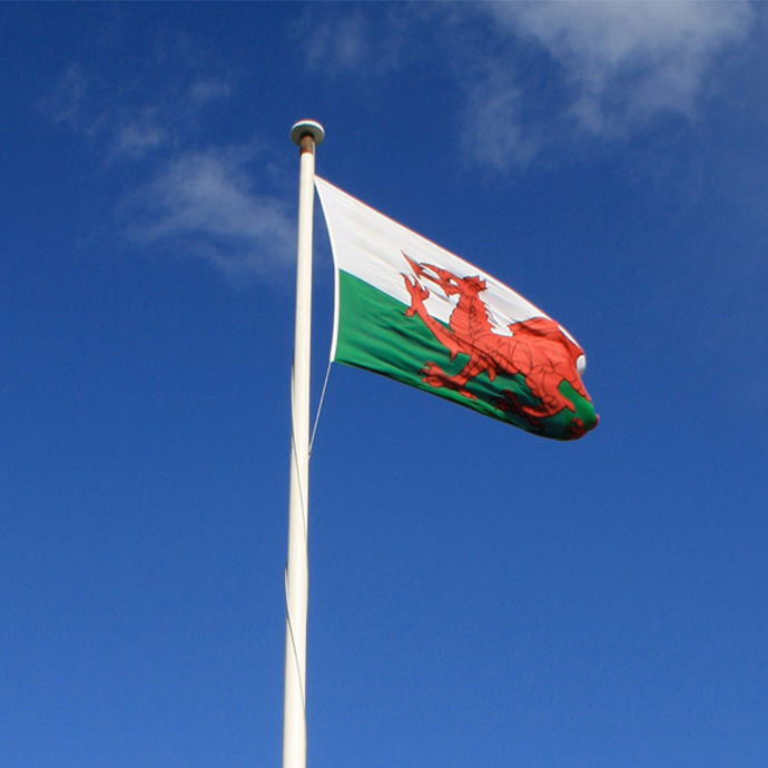 Image of a Welsh flag up in the air