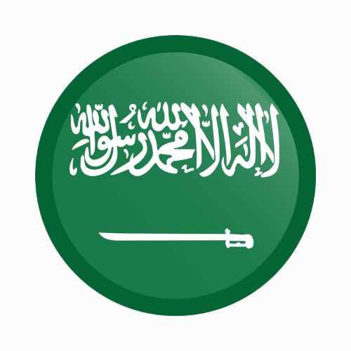 Saudi flag icon