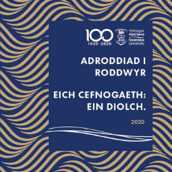 Darlun o glawr Adroddiad Rhoddwyr 2020. | Eich Cefnogaeth. Ein Diolch