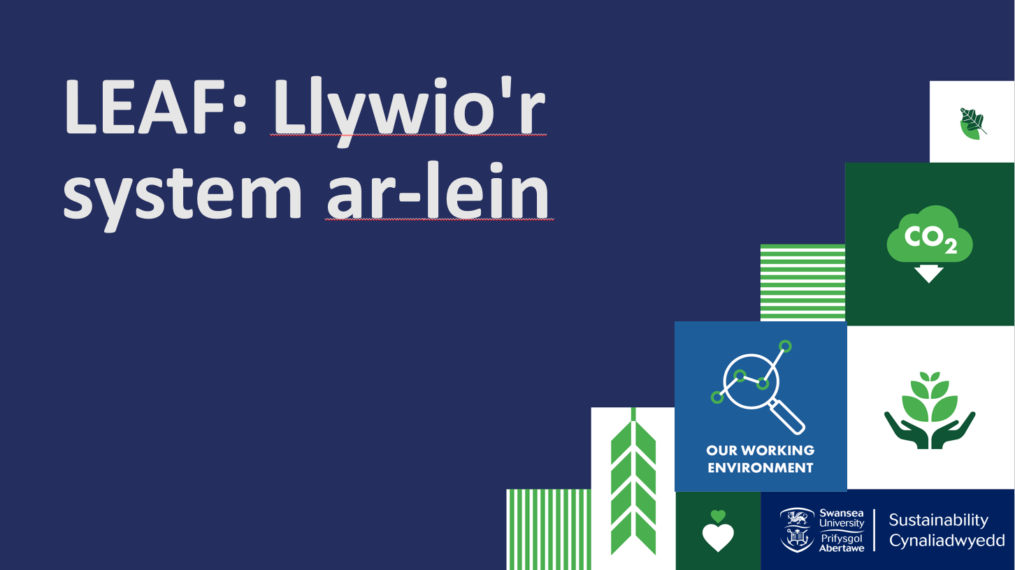 Llywio'r system LEAF ar-lein