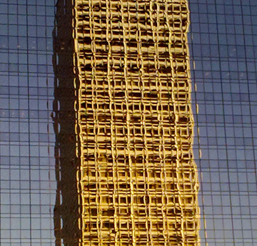 Reflected building