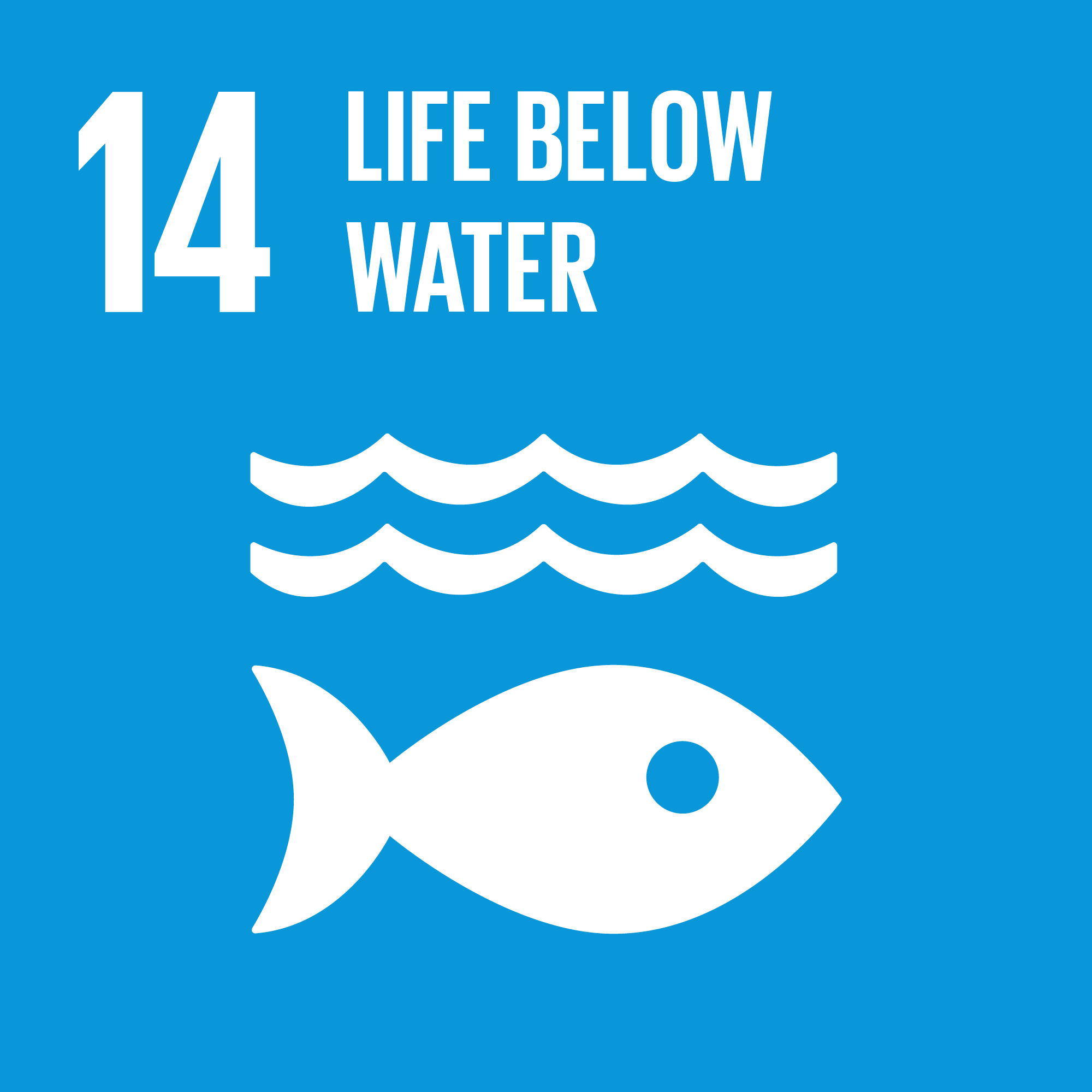 UNSDG 14 Life Below Water