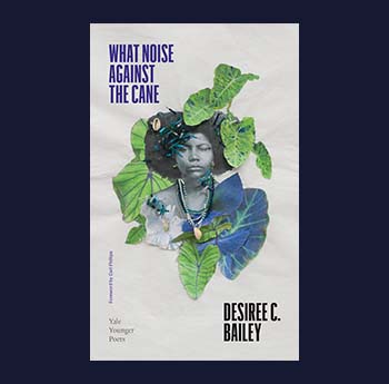 What Noise Against the Cane gan Desiree C. Bailey