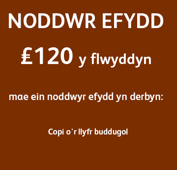 Noddwr Efydd