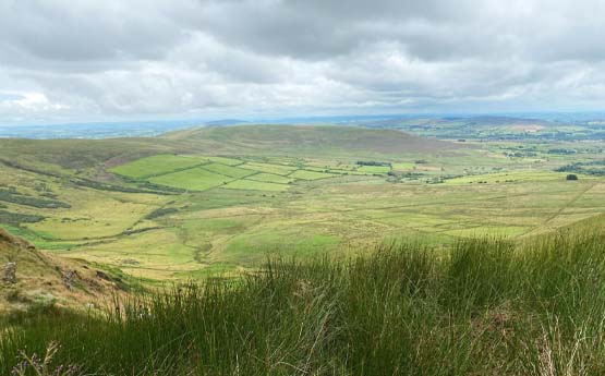A green landscape