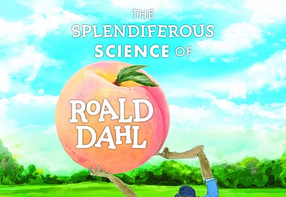 eirin gwlanog enfawr