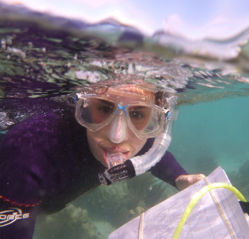 Student snorkelling in Puerto Rico