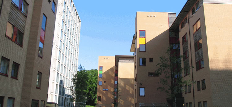 Golwg allanol o Gampws Singleton yn yr heulwen