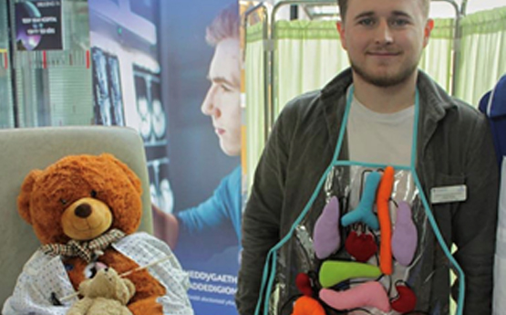 Anatomy Velcro Model