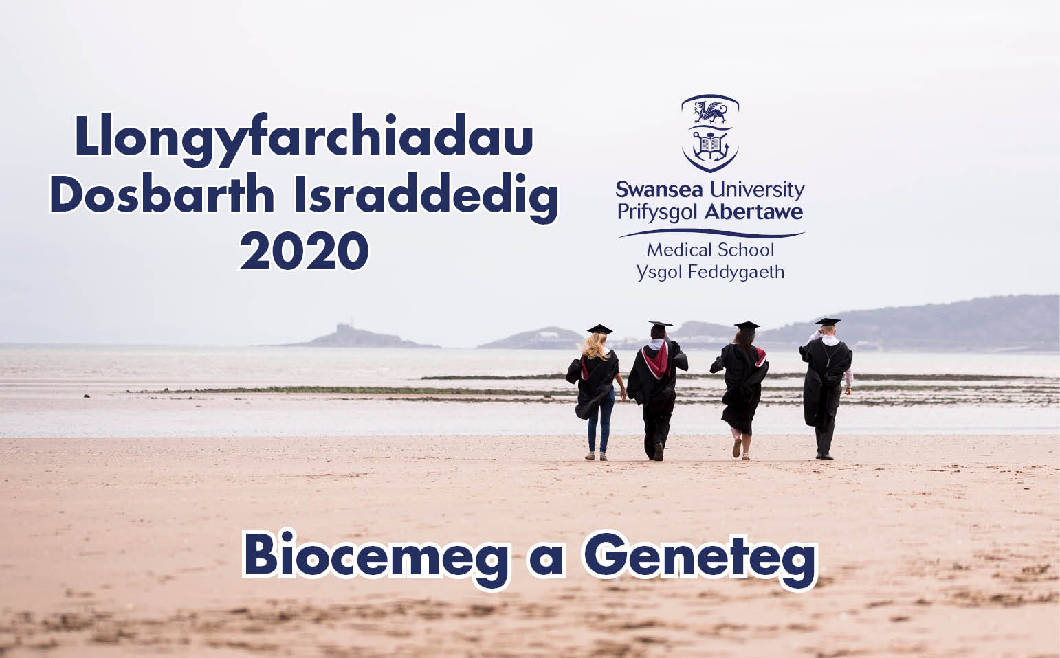 Graddedigion yn cerdded dros Bae Abertawe