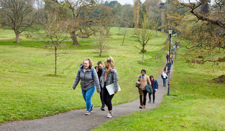 Students walking through the park