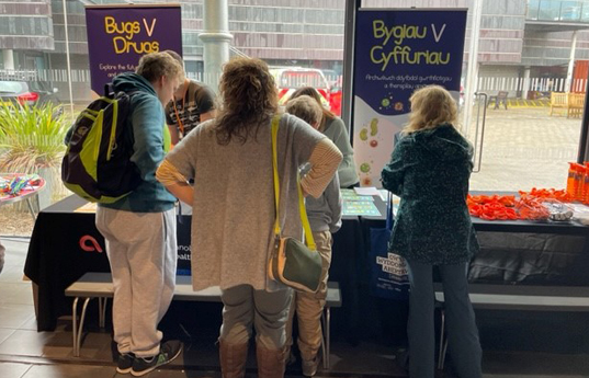 photograph of visitors at Bugs V Drugs stand at swansea science festival