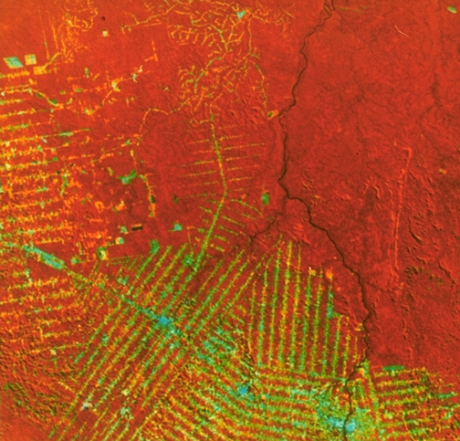 Landstat image
