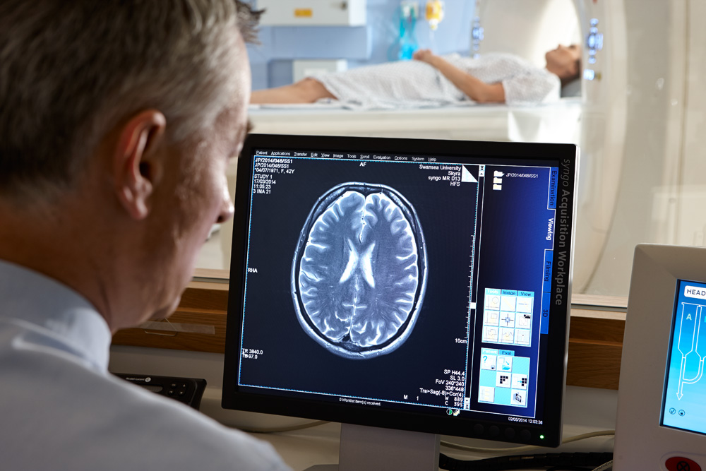 Medical Neuroscience image 