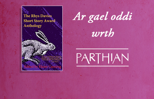 Temporary front cover image of Blodeugerdd Gwobr Stori Fer Rhys Davies 2026