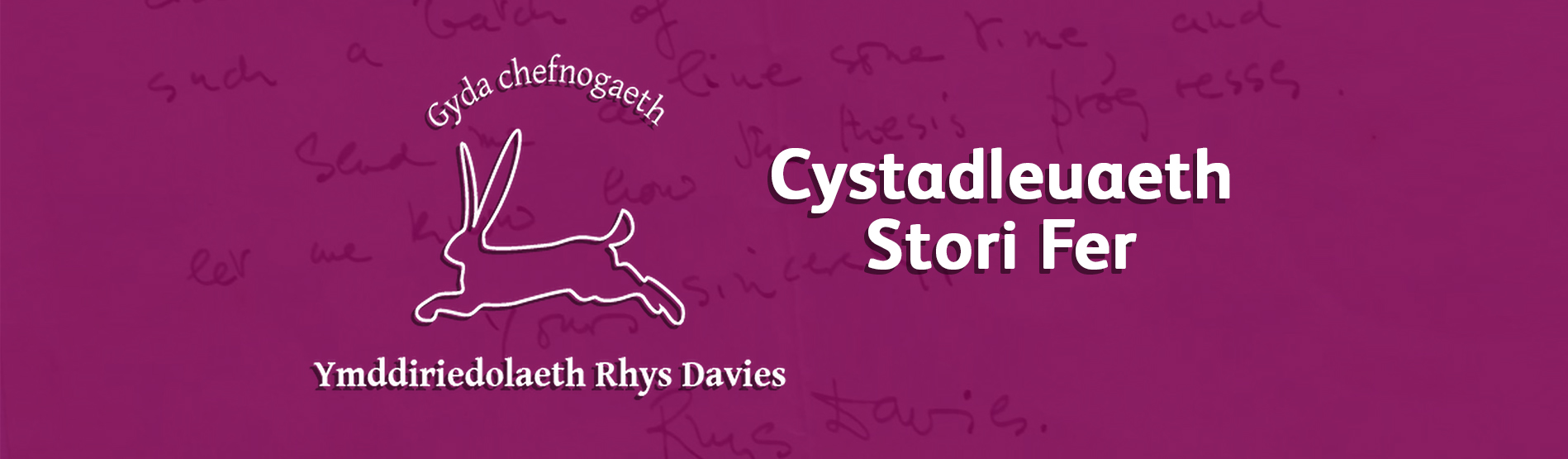 Cystadleuaeth Stori Fer Rhys Davies