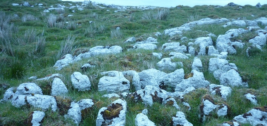 Gwnaeth y Grŵp Meddyginiaethau Traddodiadol ddarganfod bod y pridd a ddefnyddid mewn meddyginiaethau gwerin hynafol yn sgarpdiroedd Gorllewin Fermanagh yn cynnwys sawl rhywogaeth o'r organebau hyn sy'n cynhyrchu gwrthfiotigau