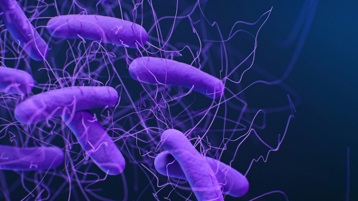 Darlun meddygol o'r bacteria Clostridioides difficile, a elwid gynt yn Clostridiwm difficile. Darlunydd Meddygol Jennifer Oosthuizen. Cydnabyddiaeth: CDC ar Unsplash.