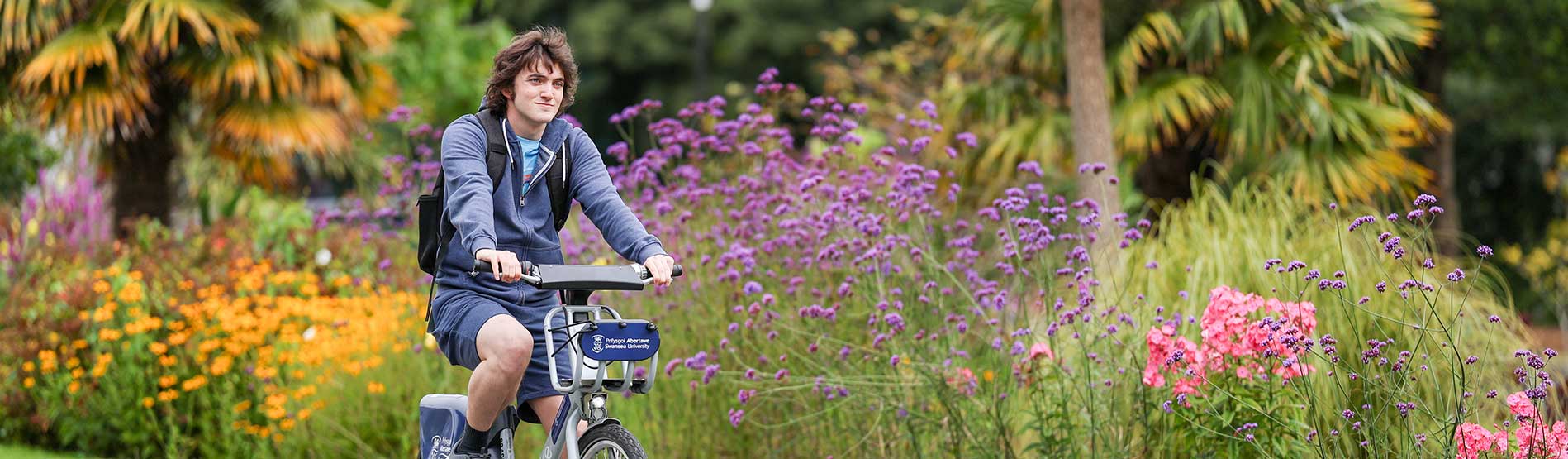 A student riding down the main campus driveway on a Swansea University cycle, flowers are blooming in the background.