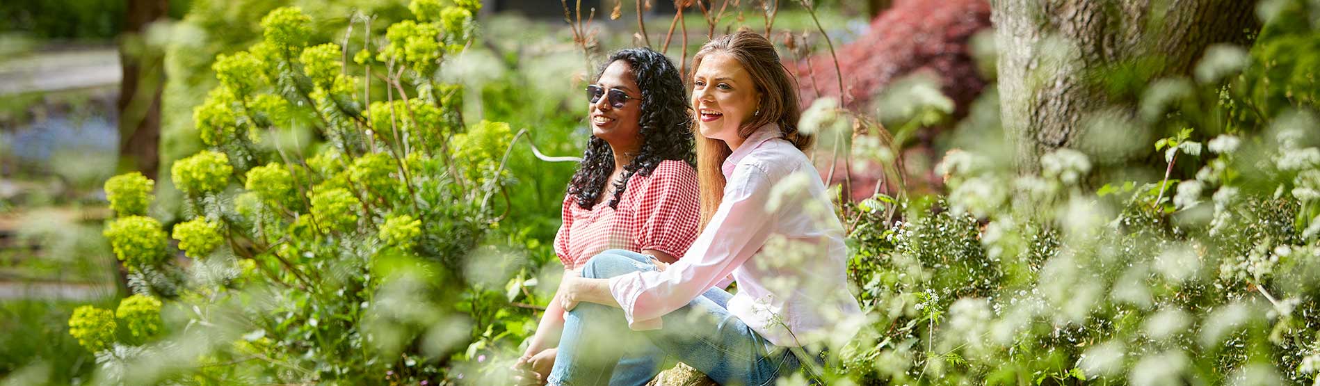 Two female students sitting amongst the flowers in bloom on Singleton Campus
