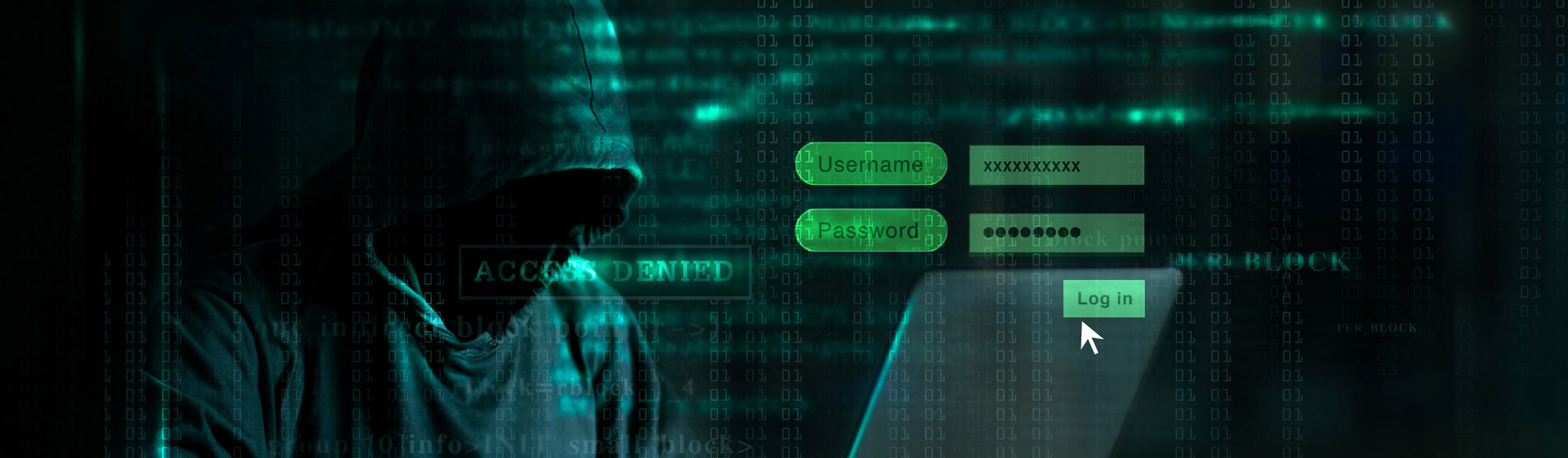 A hooded person using a laptop