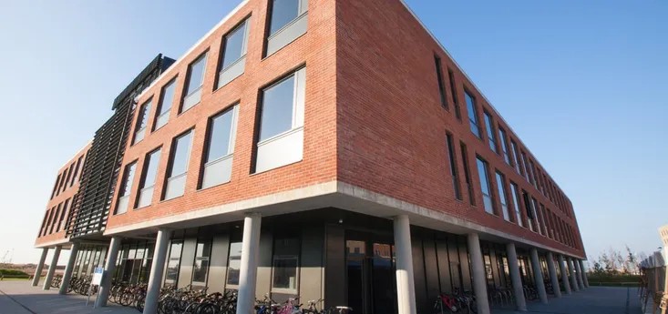 School of management