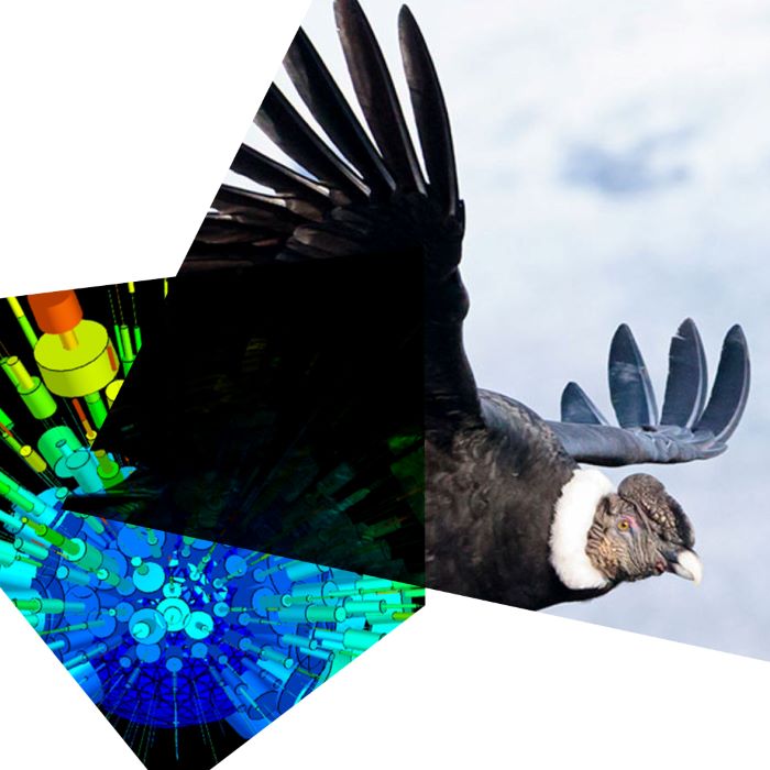 data visualisation of flight path , image of a condor