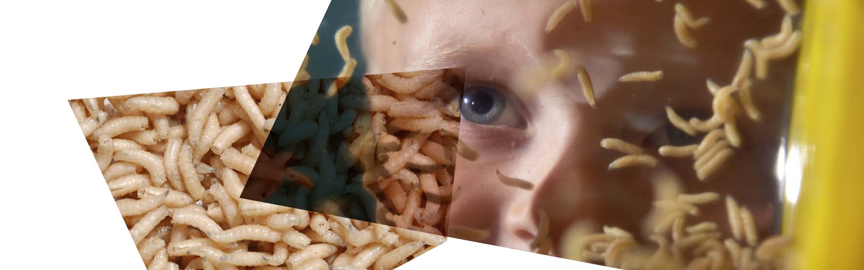 Maggots in front of child's face
