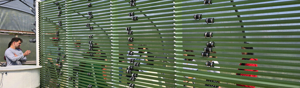 Dyn yn siarad â phobl am algâu mewn tiwbiau