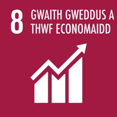 UNSDG 8 decent work and economic growth
