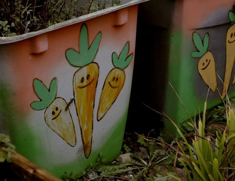 Carrot planters