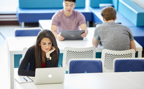 Postgraduate students studying on a laptop