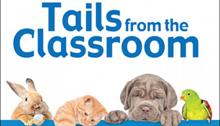 Tails from the classroombook cover