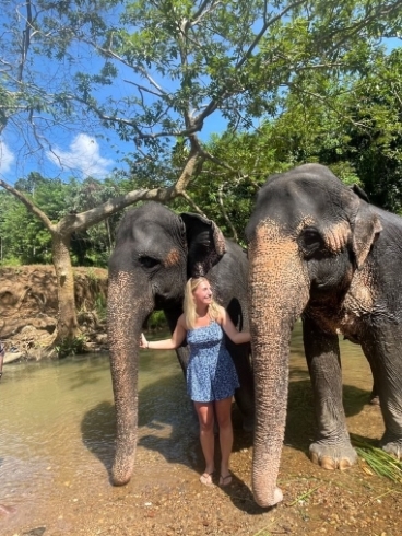 Student standing between two elephants