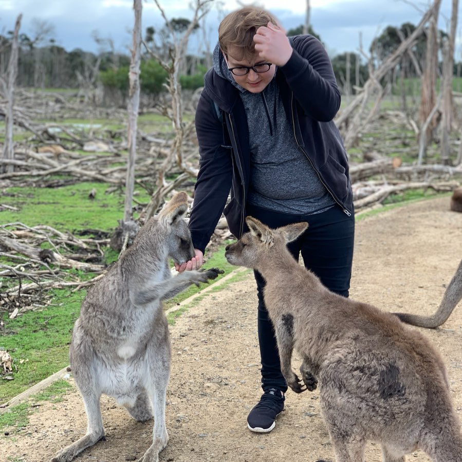 Student feeding kangaroos