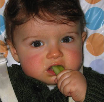 Baby eating finger foods 