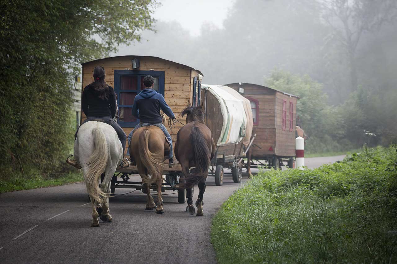 Caravan horses 