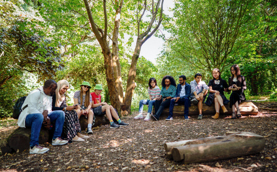 A large number of students sitting together on logs in an opening in the woodlands