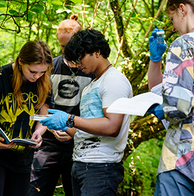 students on a field trip in a forest holding sample tubes 