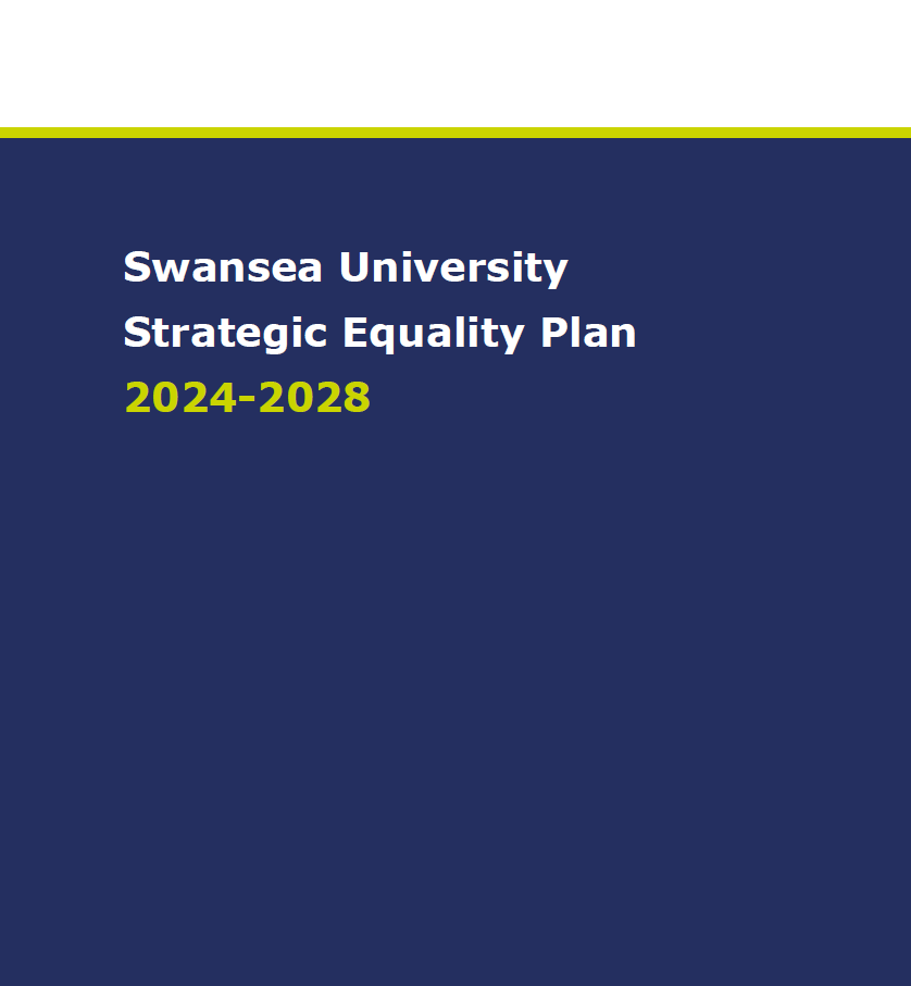 cover: Strategic Equality Plan 20204-2028