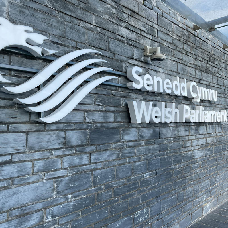 The Senedd in Cardiff