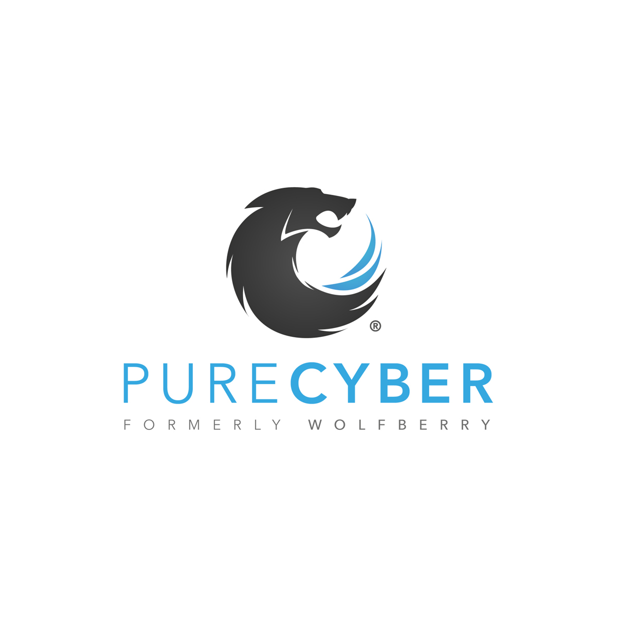 The Pure Cyber logo