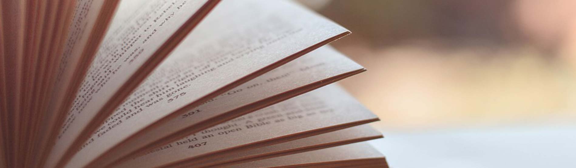 hillary clinton speaking