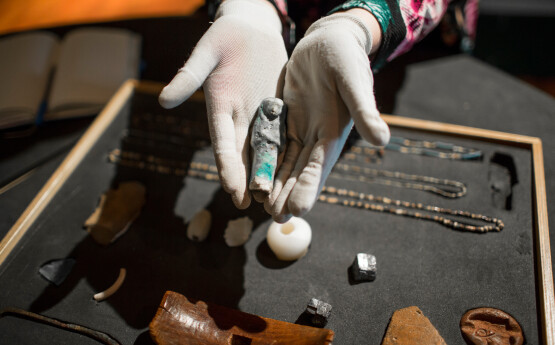 A pair of hands holding an artifact above a display cabinet of items from the Egypt Collection.