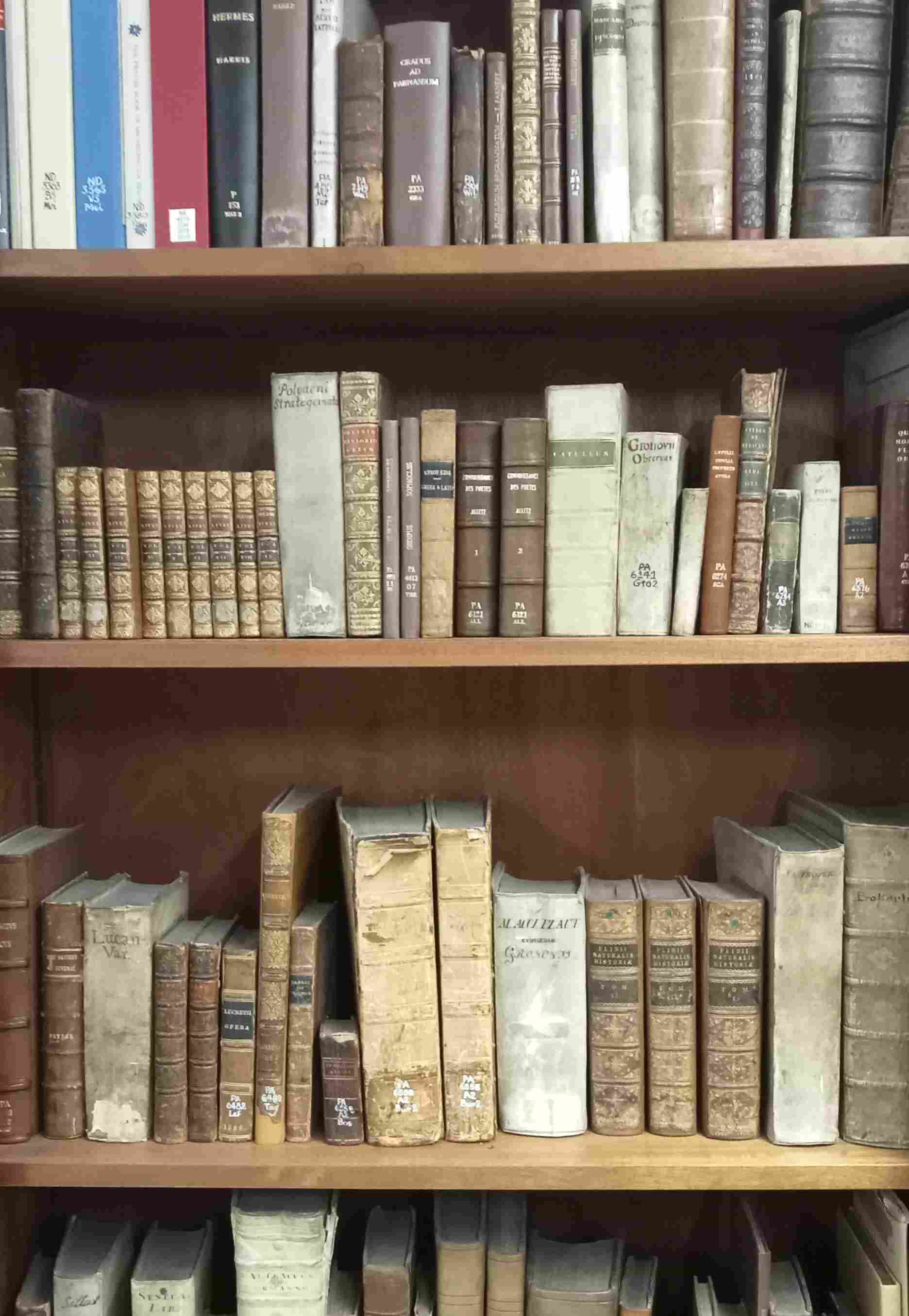 A wooden shelf containing old, rare books. 