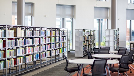 Bay Library image of books on shelves