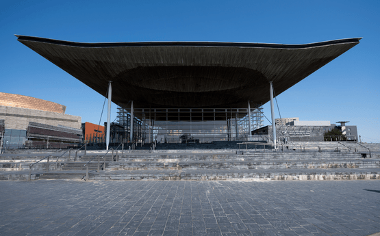The Senedd. 